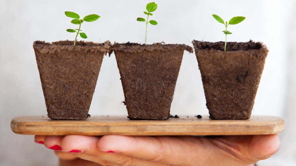 daniel-oberg-sEApBUS4fIk-unsplash
